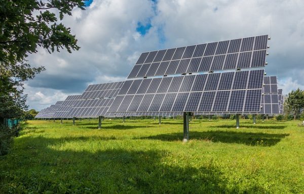 Greener promove novo Estudo GD